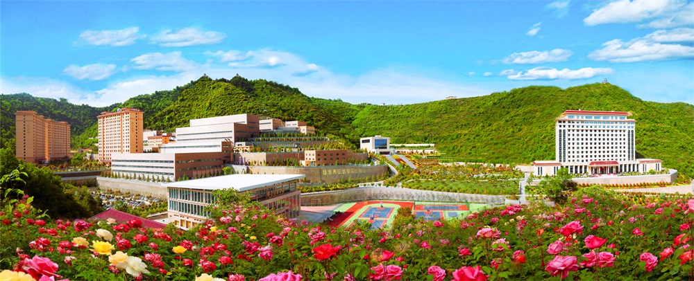 三季有花、四季常青的金徽礦區(qū)-p2.jpg