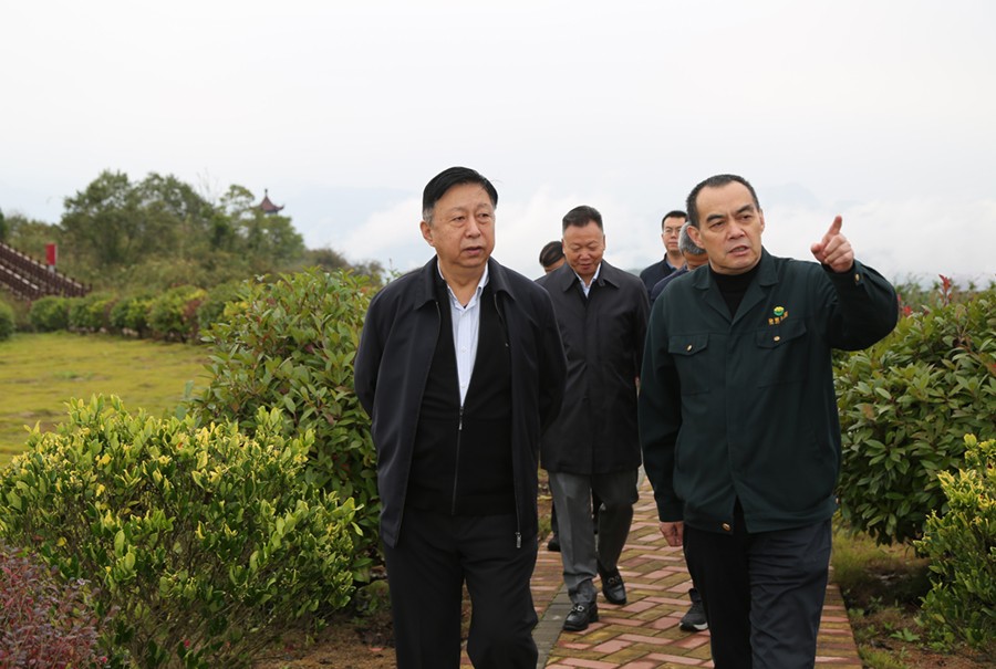 19-2021年10月，原國土資源部副部長汪民蒞臨公司調(diào)研。.jpg