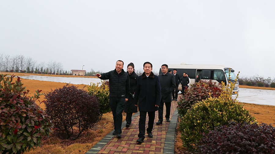 45-2020年12月，省高級人民法院黨組成員、副院長任建國蒞臨金徽股份調(diào)研知識產(chǎn)權司法保護工作。.jpg